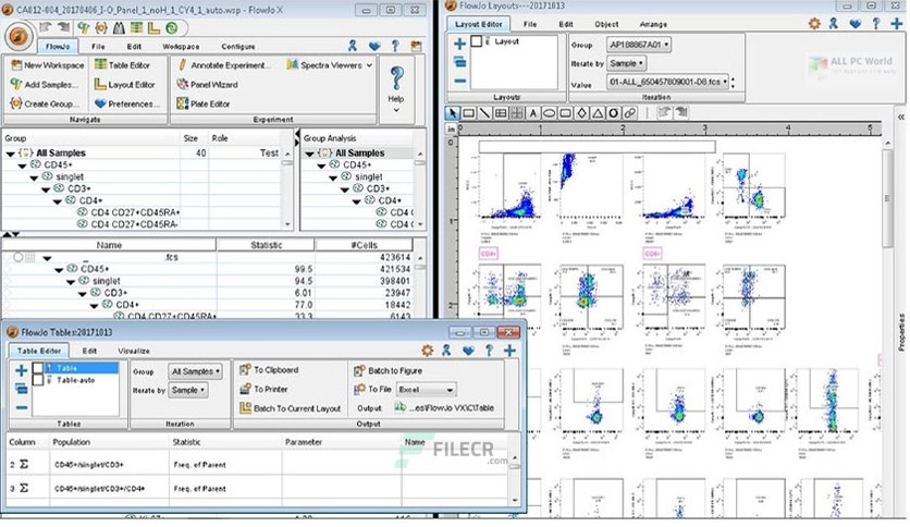 Flowjo 10.10 Lifetime 2